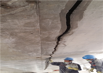 1490164383330936.png 1490164383330936.png